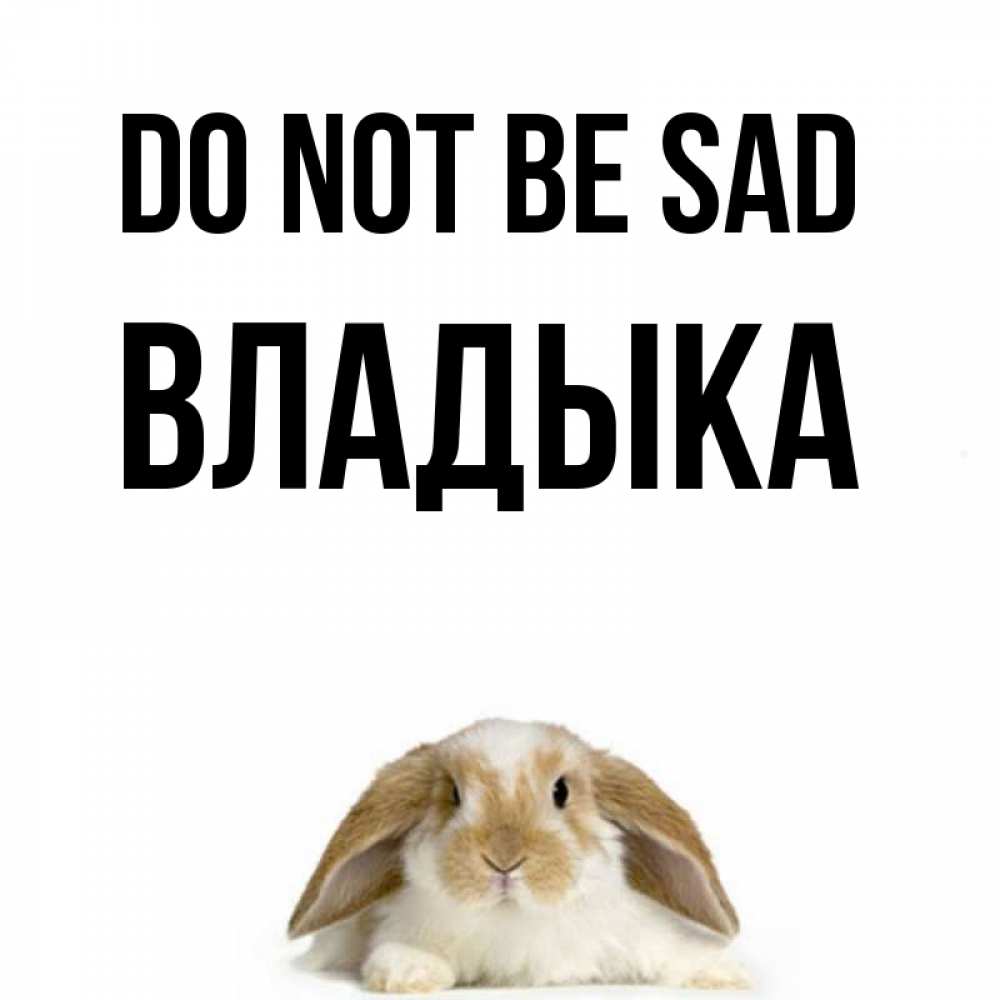 Greetings card с именем, Владыка Do not be sad коричнево белый заяц с большими ушками Greetings with text for free download 
