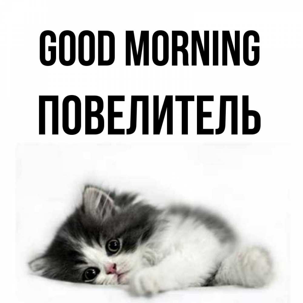 Greetings card с именем, Повелитель Good morning кот лапки Greetings with text for free download 