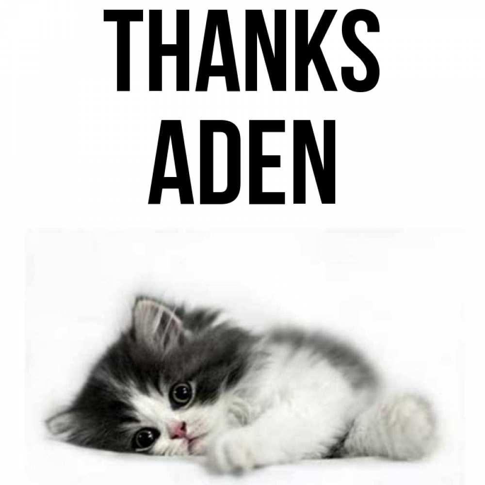 Greetings card с именем, Aden Thanks черный и белый кот Greetings with text for free download 