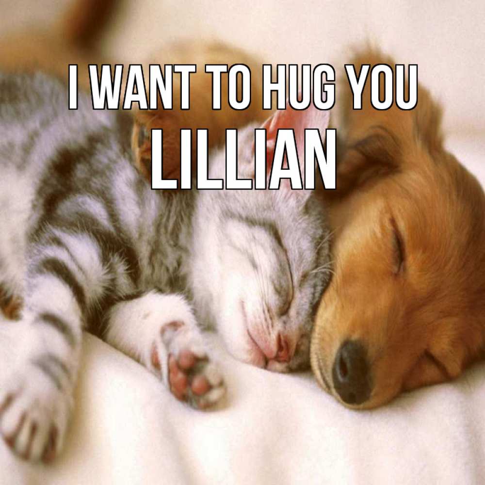 Greetings card с именем, Lillian I want to hug you пес и котенок Greetings with text for free download 