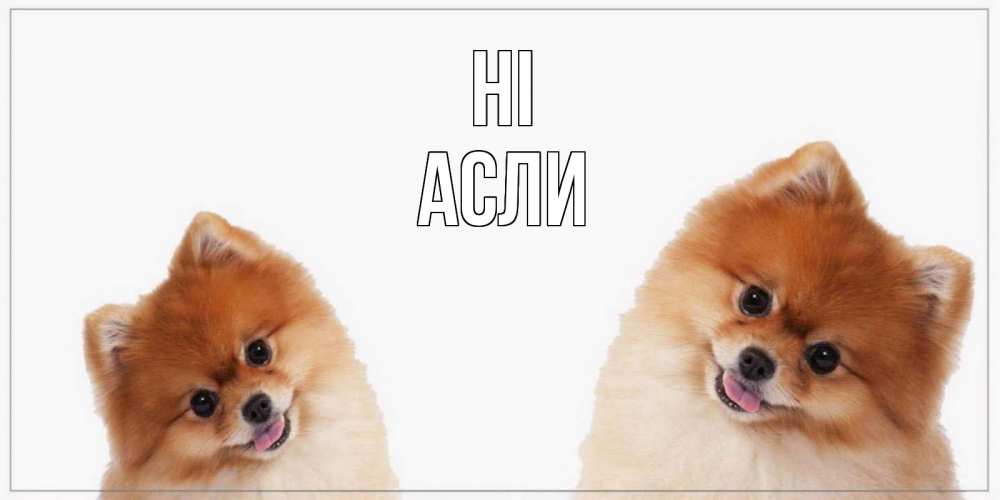 Greetings card с именем, АСЛИ Hi привет Greetings with text for free download 