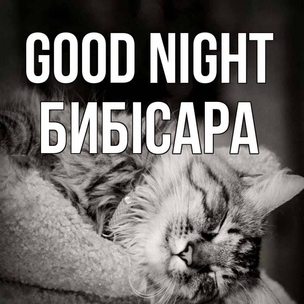 Greetings card с именем, БИБІСАРА Good night котярик пушистый Greetings with text for free download 
