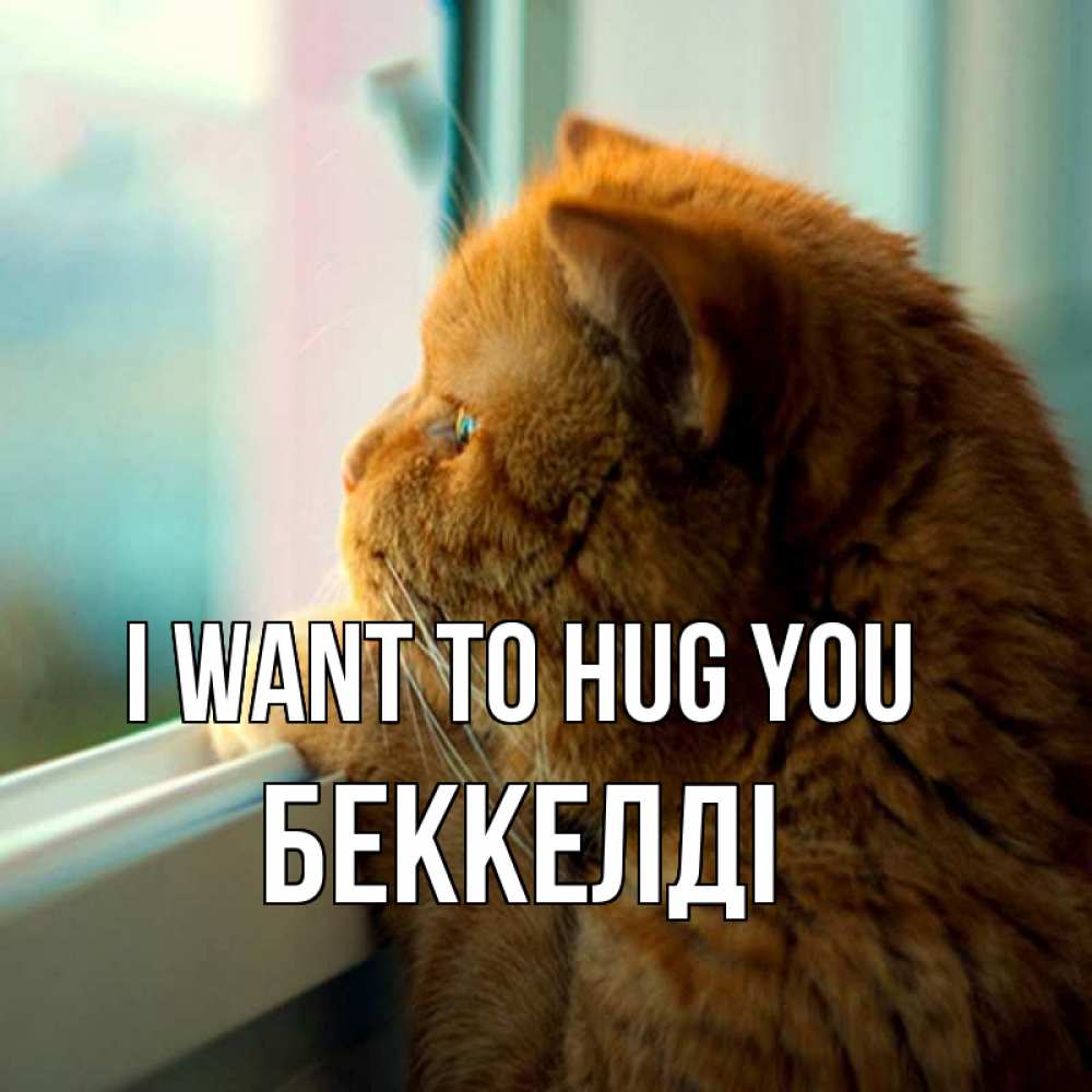 Greetings card с именем, Беккелді I want to hug you большой огромный рыжий котяра Greetings with text for free download 