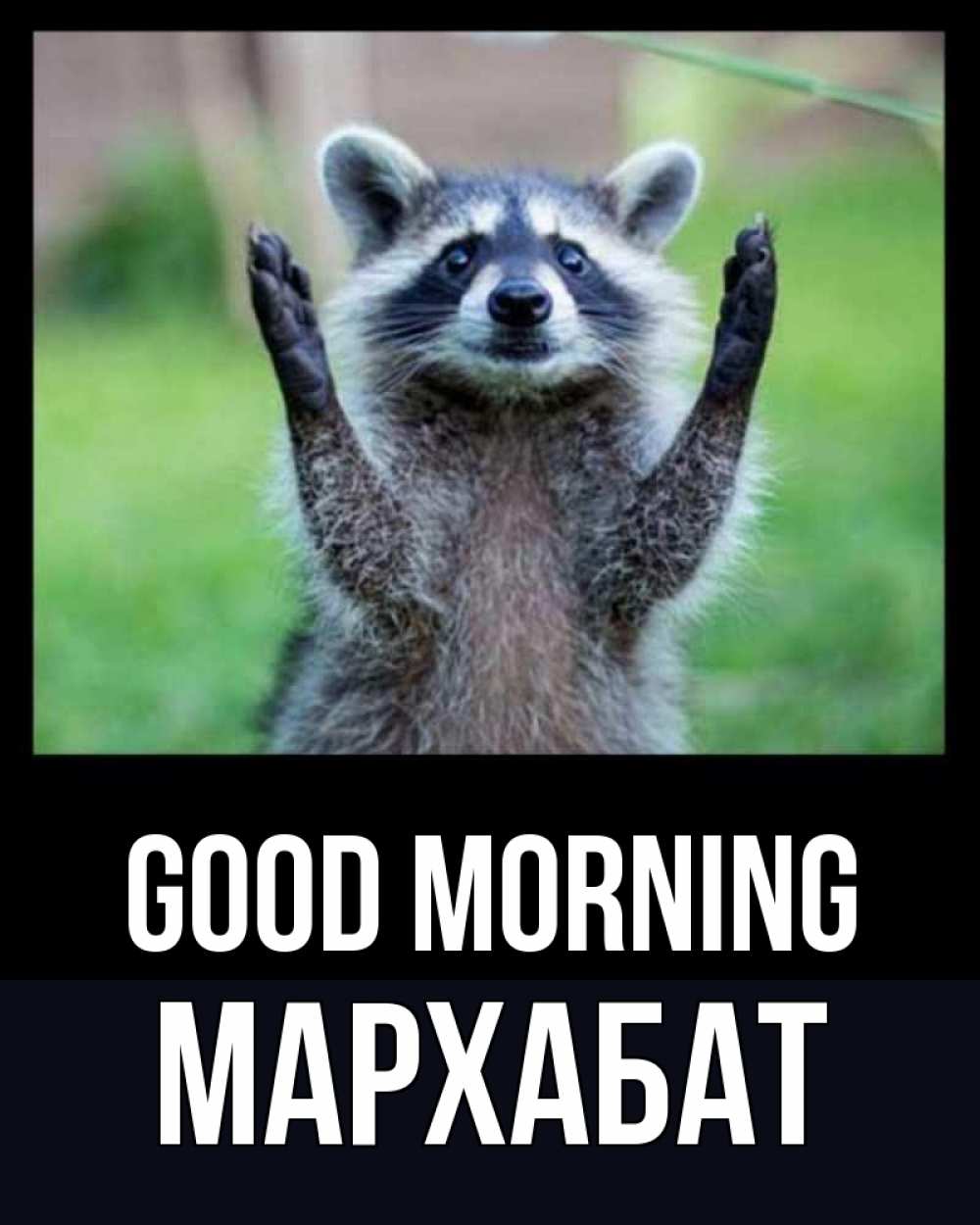 Greetings card с именем, МАРХАБАТ Good morning хорошее настроение утречком Greetings with text for free download 