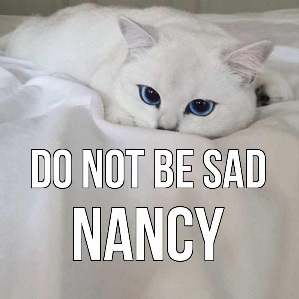 Greetings card с именем, Nancy Do not be sad белый кот с голубыми глазами на белоснежной кровати Greetings with text for free download 