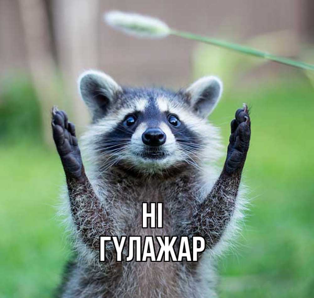 Greetings card с именем, ГҮЛАЖАР Hi животные Greetings with text for free download 