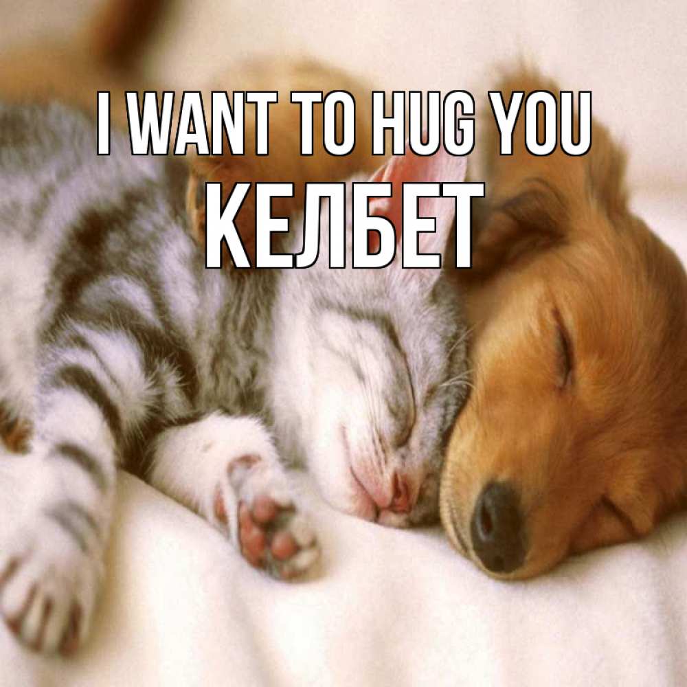 Greetings card с именем, КЕЛБЕТ I want to hug you пес и котенок Greetings with text for free download 