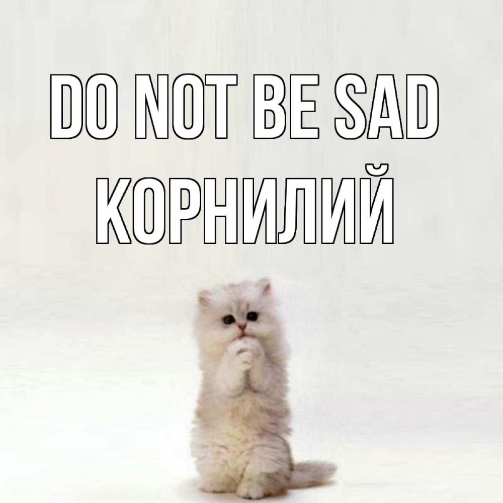 Greetings card с именем, Корнилий Do not be sad грустный кот Greetings with text for free download 