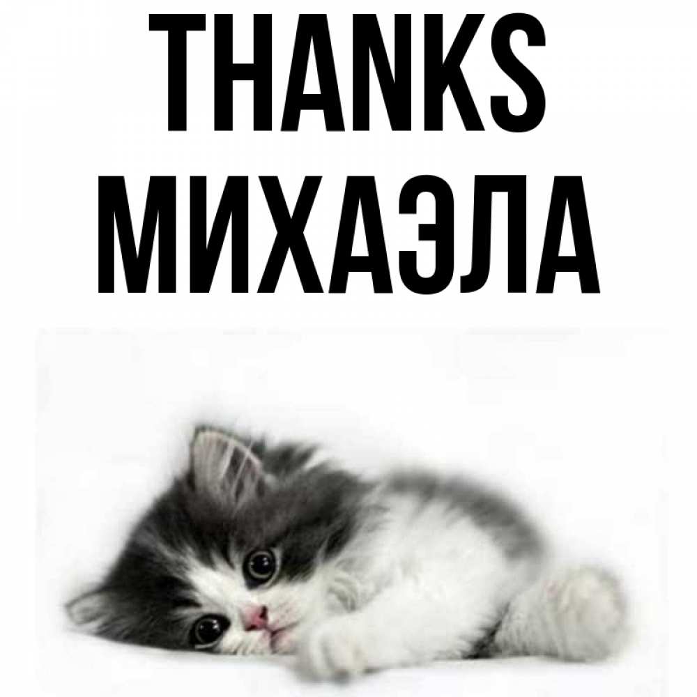 Greetings card с именем, Михаэла Thanks черный и белый кот Greetings with text for free download 