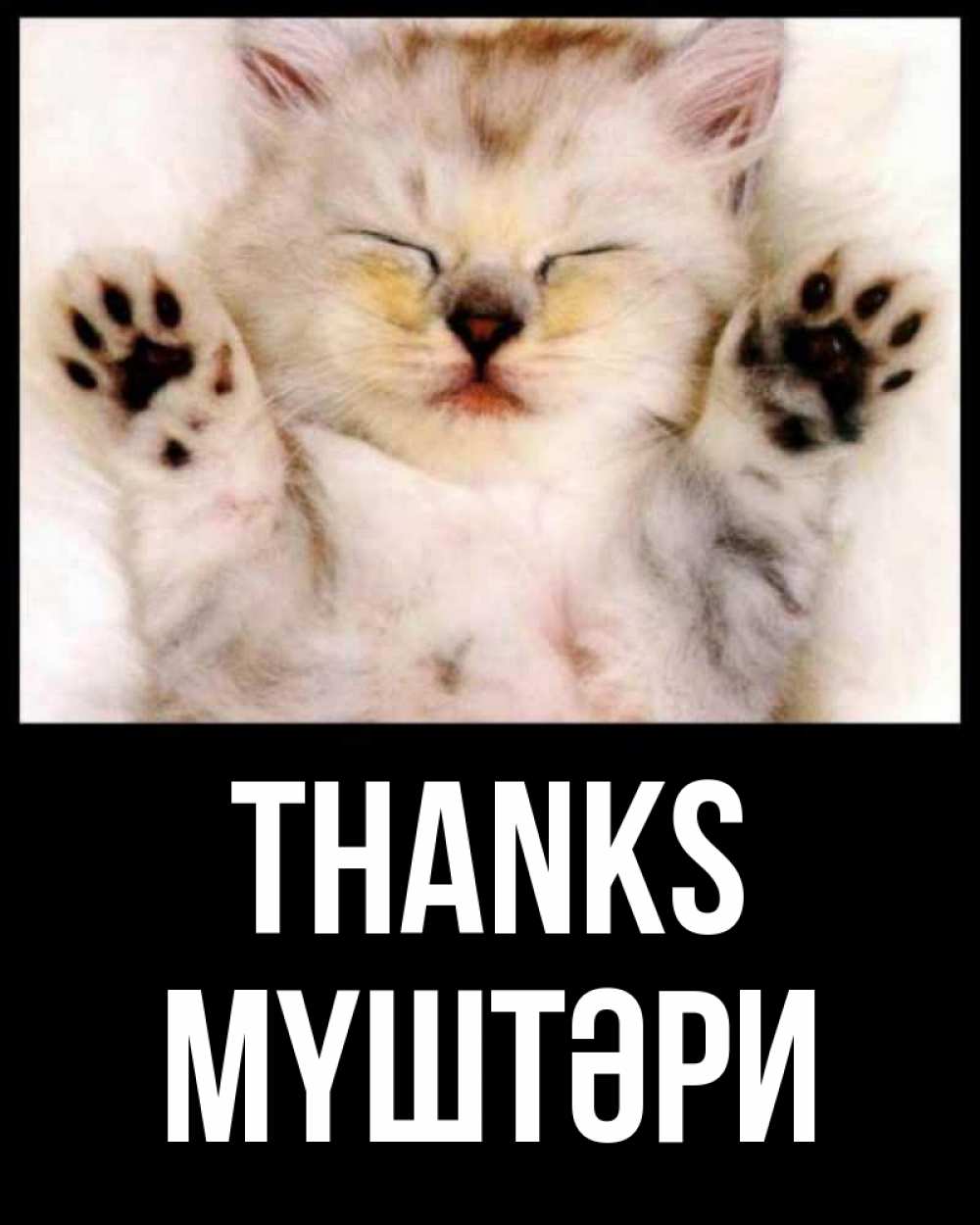 Greetings card с именем, МҮШТӘРИ Thanks маленький котенок Greetings with text for free download 