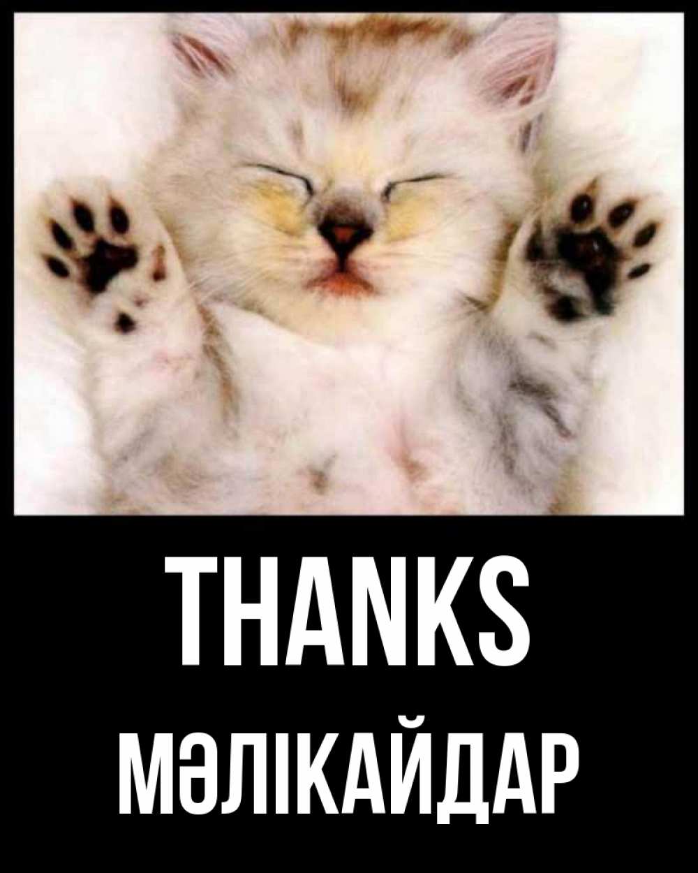 Greetings card с именем, МӘЛІКАЙДАР Thanks маленький котенок Greetings with text for free download 