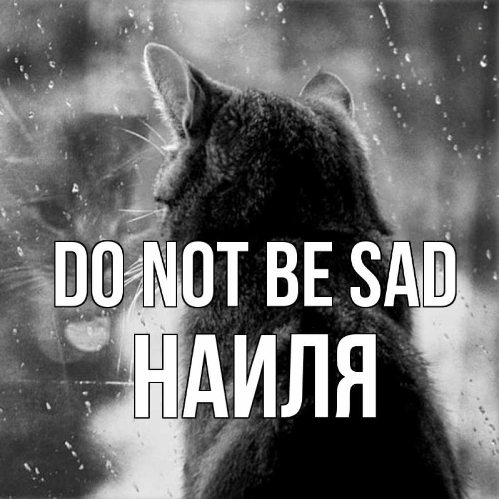 Greetings card с именем, Наиля Do not be sad отражение кота 1 Greetings with text for free download 