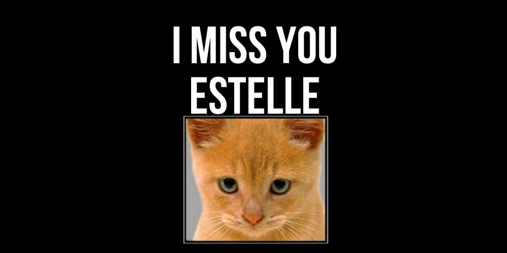 Greetings card с именем, Estelle I miss you открытки рыжий котенок скучает по тебе Greetings with text for free download 