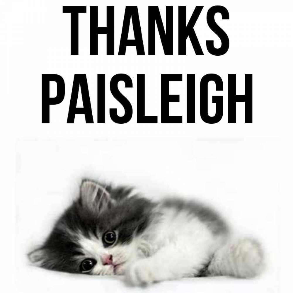 Greetings card с именем, Paisleigh Thanks черный и белый кот Greetings with text for free download 