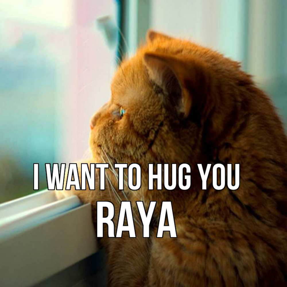 Greetings card с именем, Raya I want to hug you большой огромный рыжий котяра Greetings with text for free download 