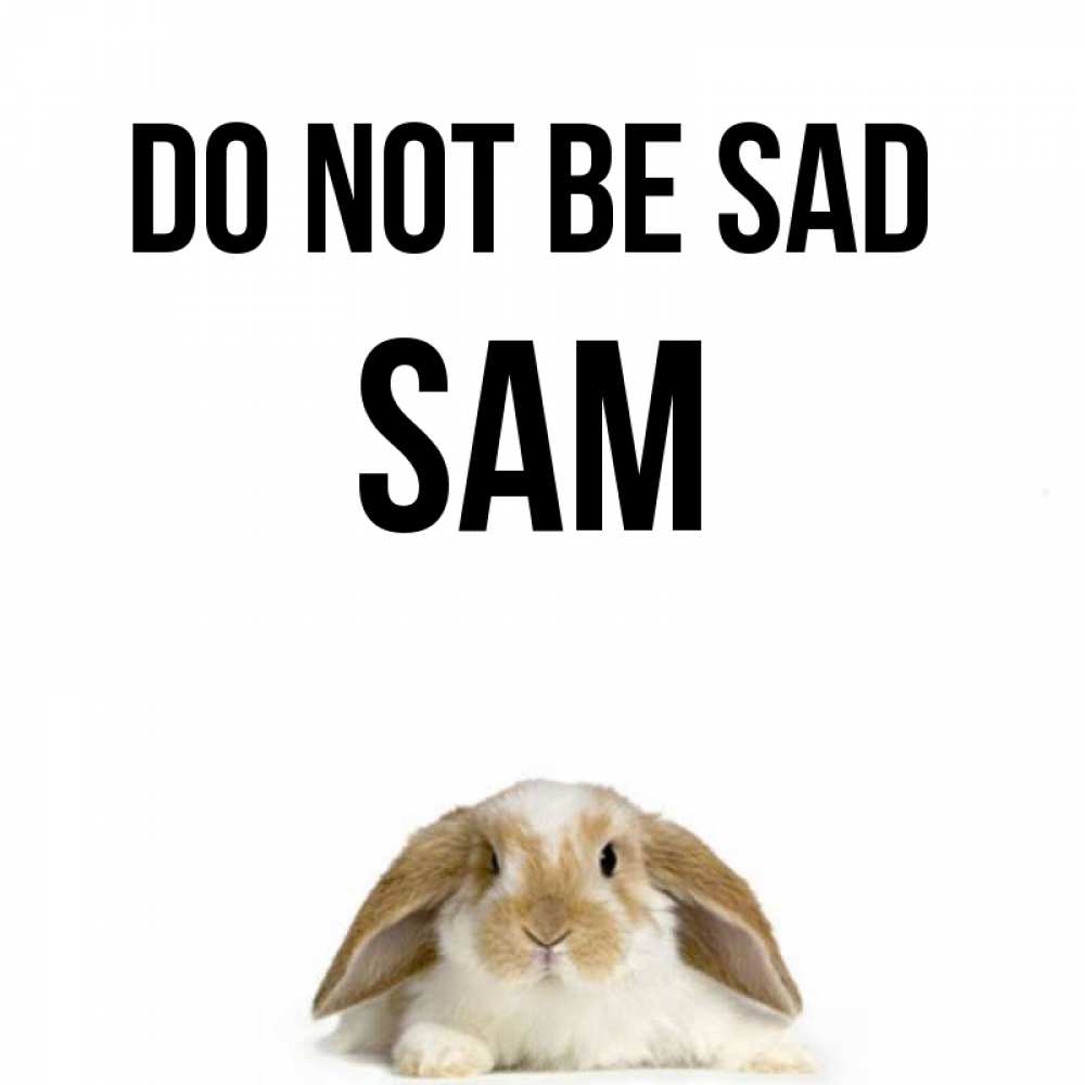 Greetings card с именем, Sam Do not be sad коричнево белый заяц с большими ушками Greetings with text for free download 