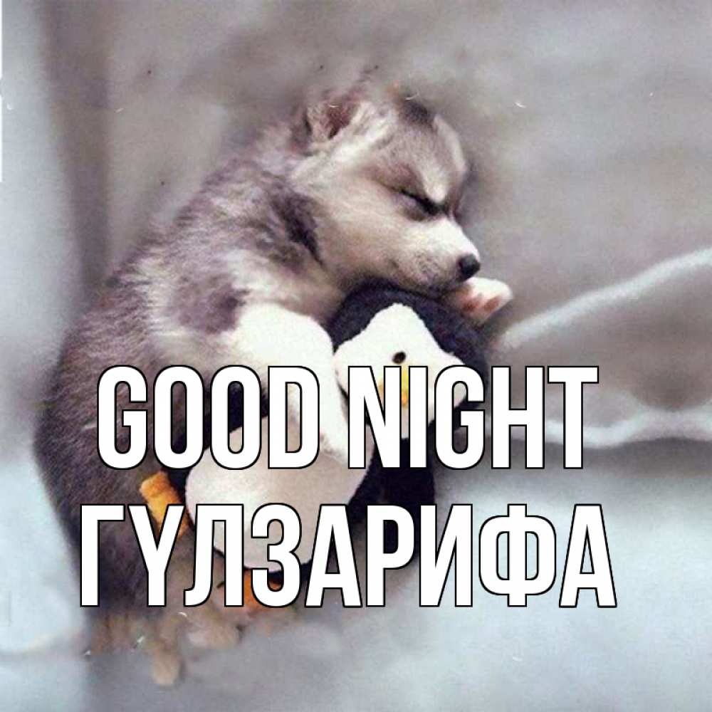 Greetings card с именем, ГҮЛЗАРИФА Good night обнимашки щенка и пингвина Greetings with text for free download 