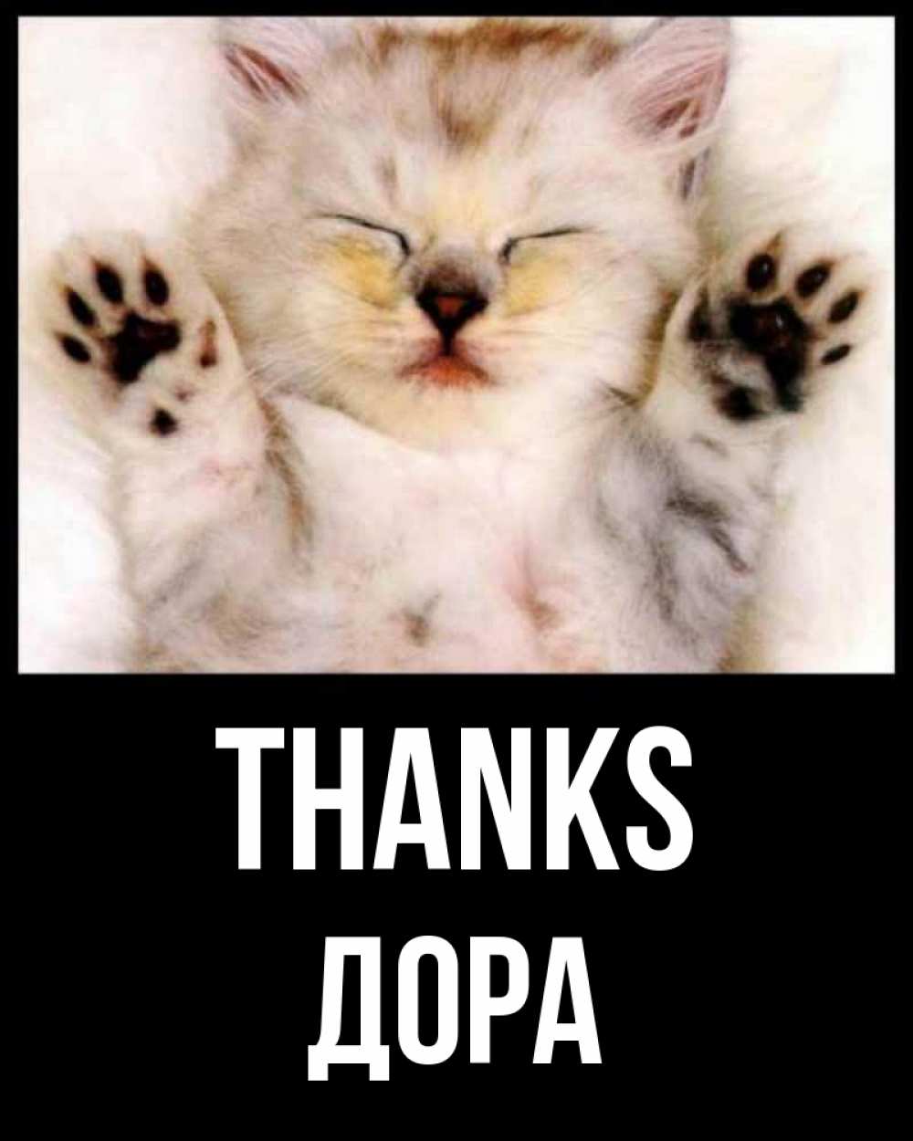 Greetings card с именем, Дора Thanks маленький котенок Greetings with text for free download 