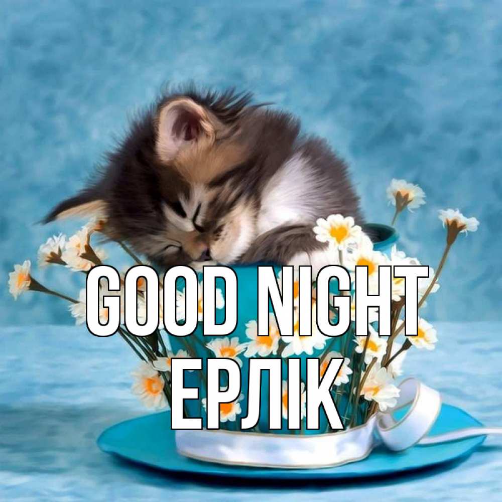 Greetings card с именем, Ерлік Good night котенок спит в кружке с блюдцем Greetings with text for free download 