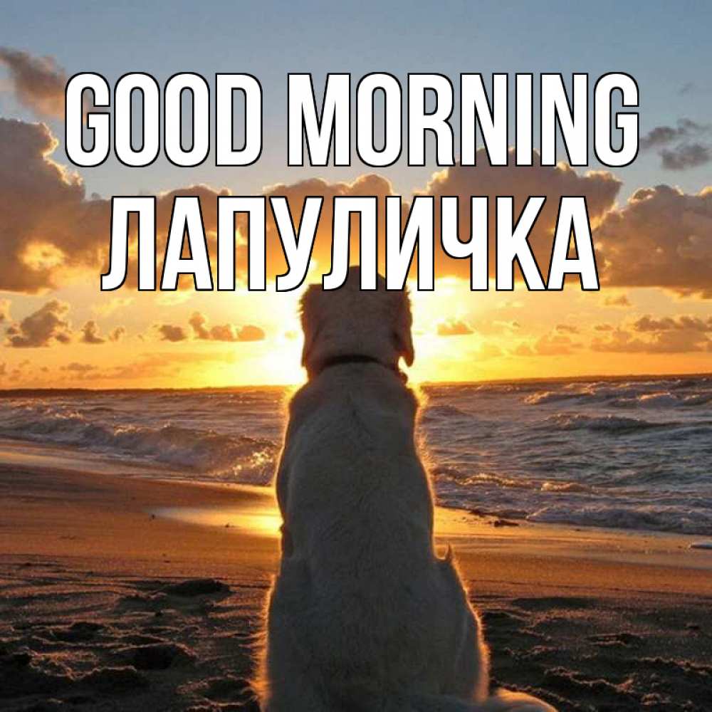 Greetings card с именем, Лапуличка Good morning восход солнца Greetings with text for free download 