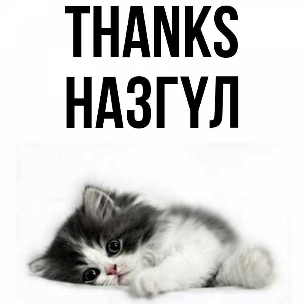 Greetings card с именем, НАЗГҮЛ Thanks черный и белый кот Greetings with text for free download 