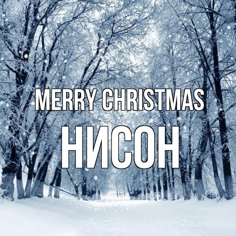 Greetings card с именем, Нисон Merry Christmas снег, лес, парк Greetings with text for free download 
