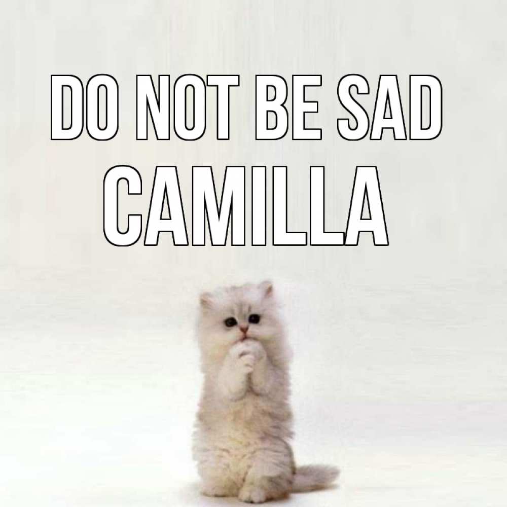 Greetings card с именем, Camilla Do not be sad грустный кот Greetings with text for free download 