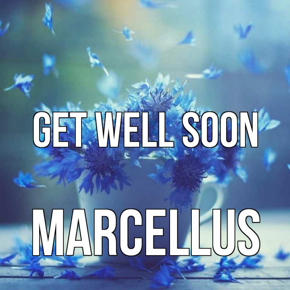 Greetings card с именем, Marcellus Get well soon кружка с зельем и цветами Greetings with text for free download 