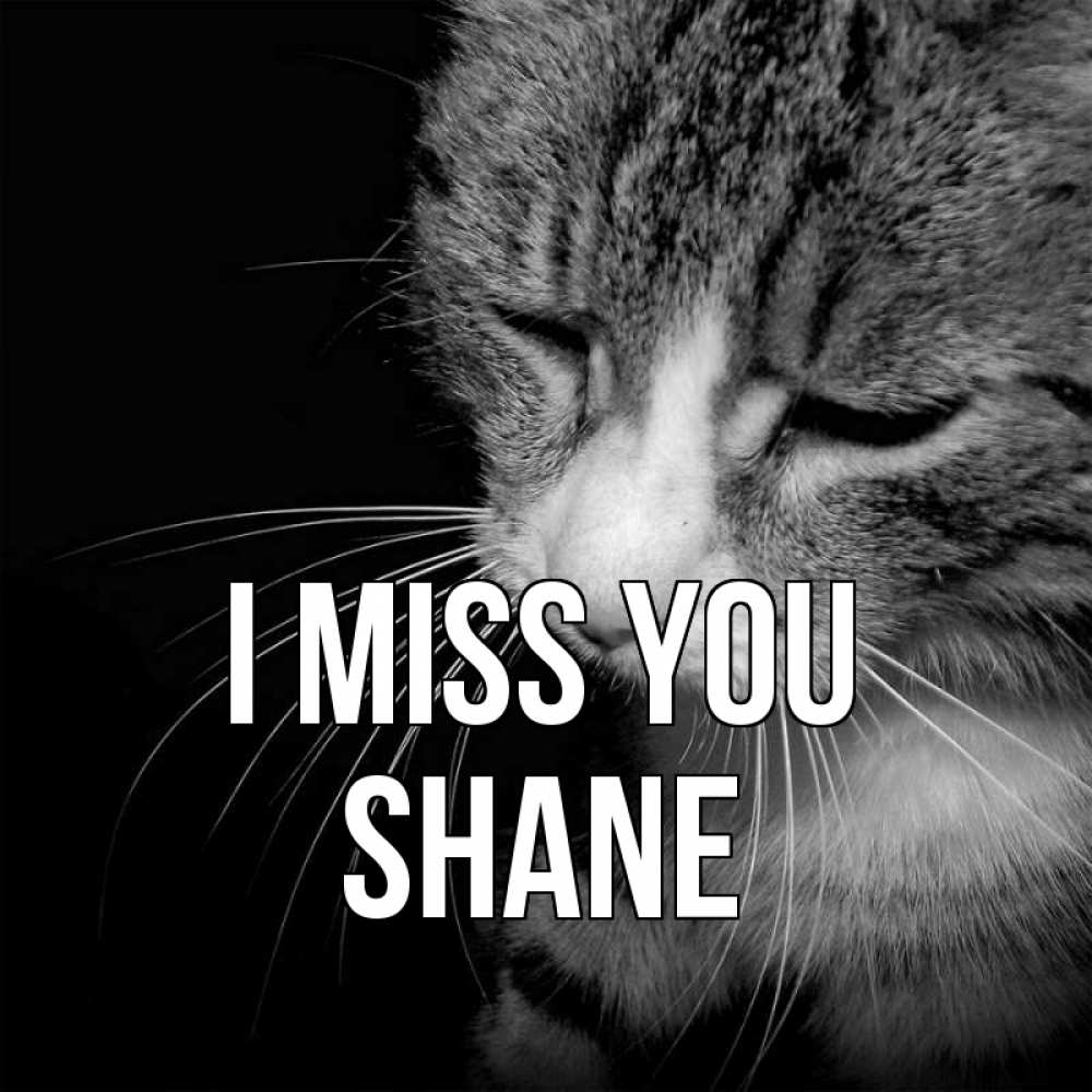 Greetings card с именем, Shane I miss you мне скучно Greetings with text for free download 