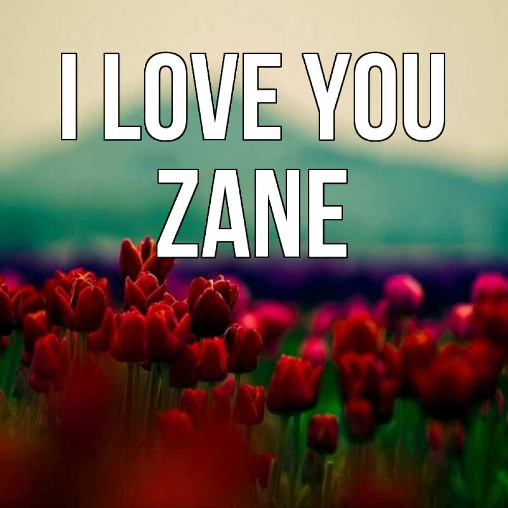 Greetings card с именем, Zane I love you тюльпаны 4 Greetings with text for free download 