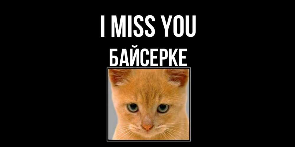 Greetings card с именем, Байсерке I miss you открытки рыжий котенок скучает по тебе Greetings with text for free download 