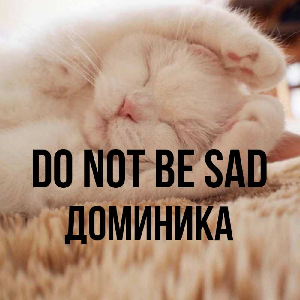 Greetings card с именем, Доминика Do not be sad Котенок спит Greetings with text for free download 