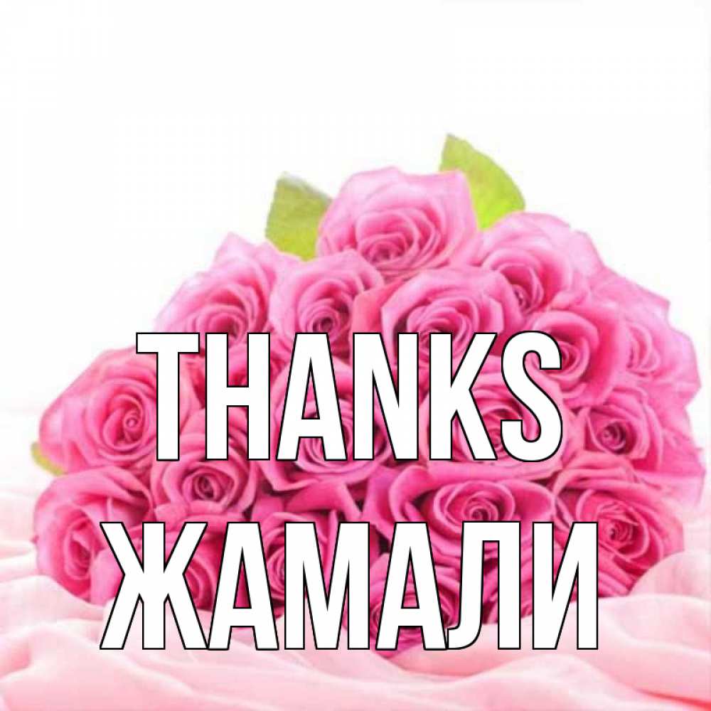 Greetings card с именем, ЖАМАЛИ Thanks розовые розы с подписью Greetings with text for free download 