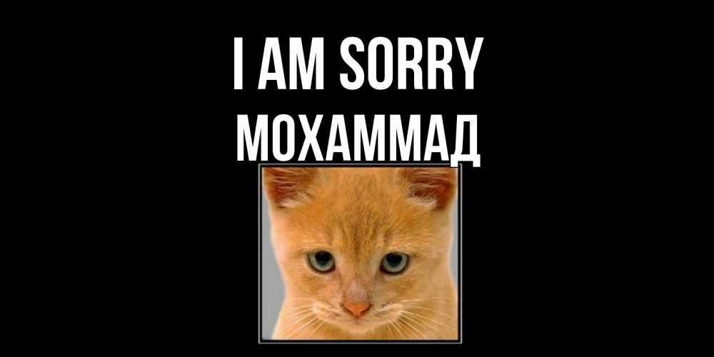Greetings card с именем, Мохаммад I am sorry рыжий грустный кот просит прощения Greetings with text for free download 