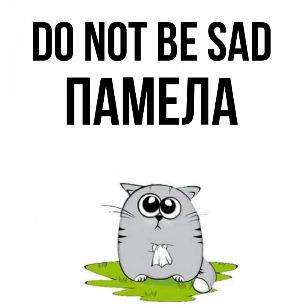 Greetings card с именем, Памела Do not be sad грустный котяра Greetings with text for free download 