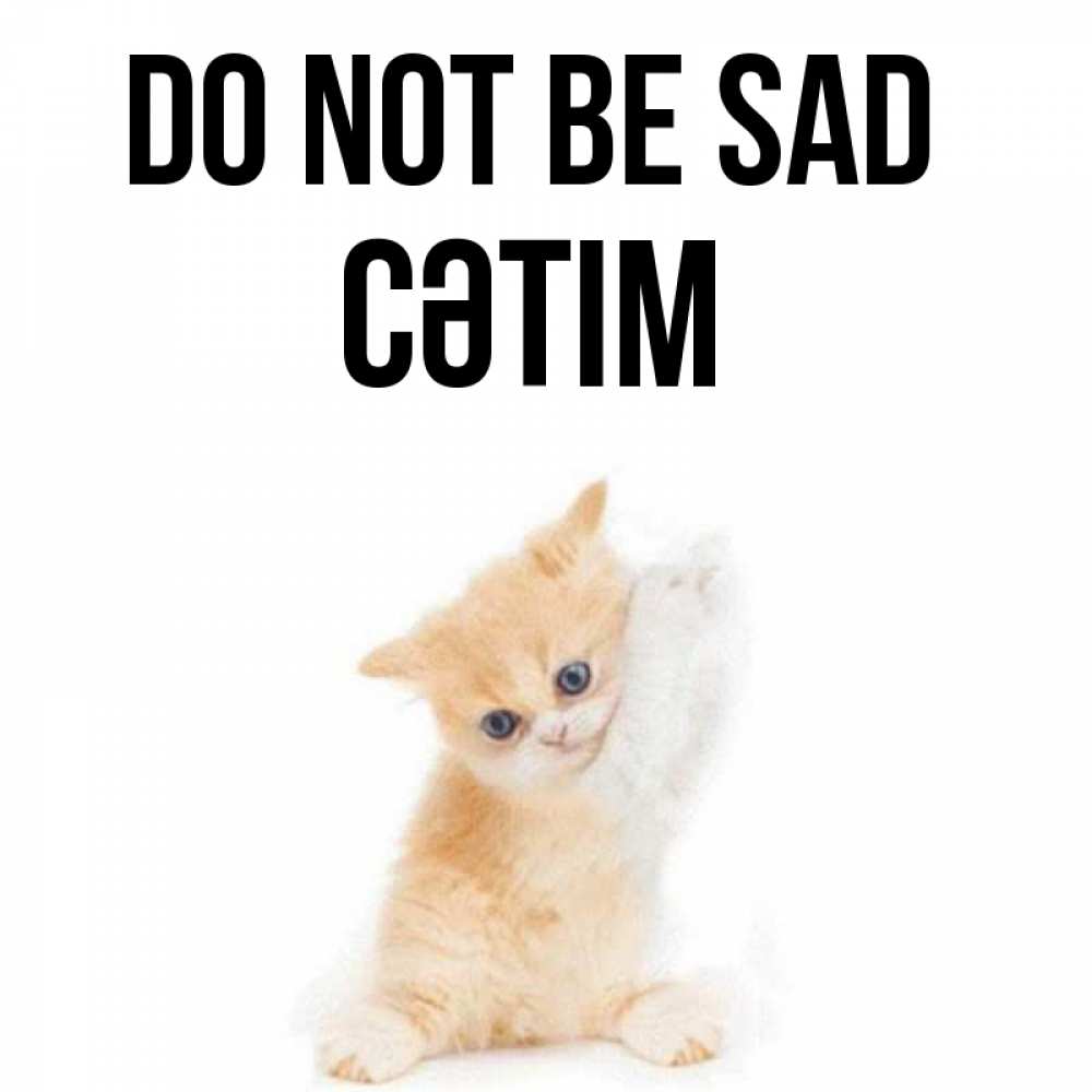 Greetings card с именем, СӘТІМ Do not be sad просящий кот Greetings with text for free download 