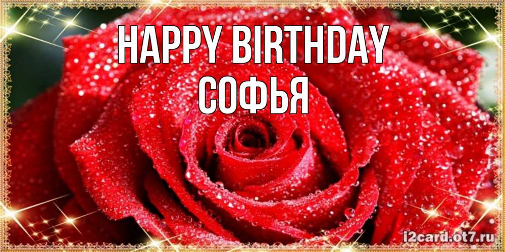 Greetings card с именем, Софья Happy Birthday роса и роза. открытка с красивой розой Greetings with text for free download 