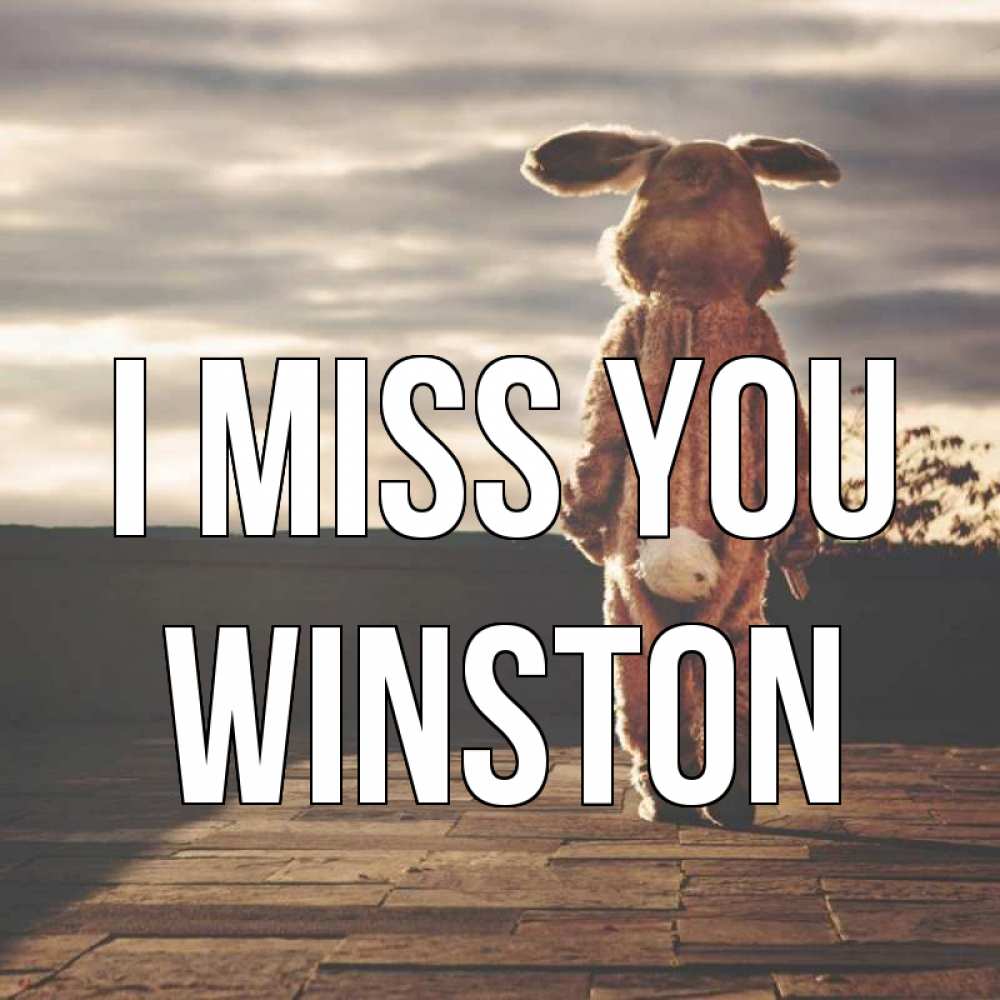 Greetings card с именем, Winston I miss you даже в костюме зайца Greetings with text for free download 