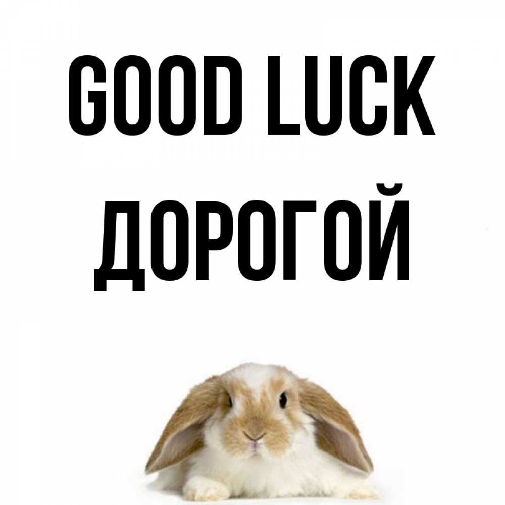 Greetings card с именем, Дорогой Good luck открытки с произвольным текстом который можно вставить в открытку и создать ее самостоятельно бесплатно онлайн Greetings with text for free download 