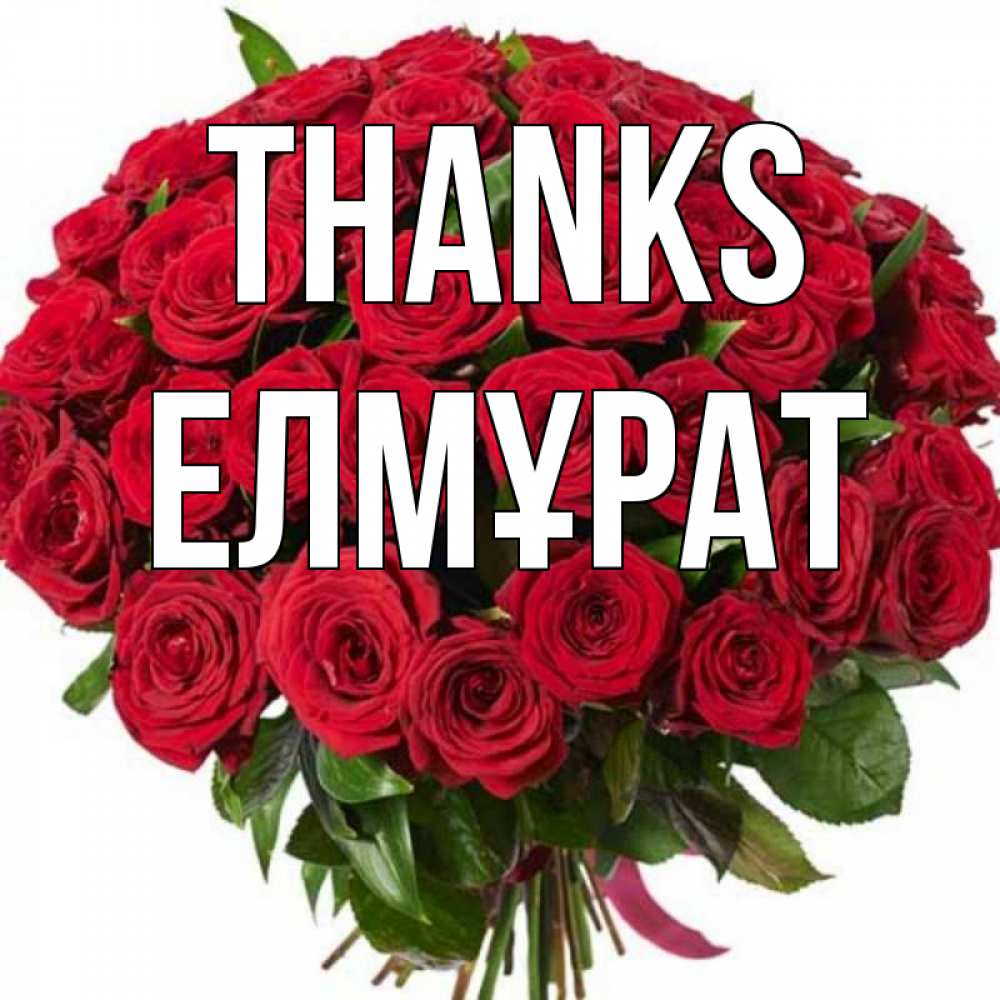 Greetings card с именем, Елмұрат Thanks букет красных роз Greetings with text for free download 
