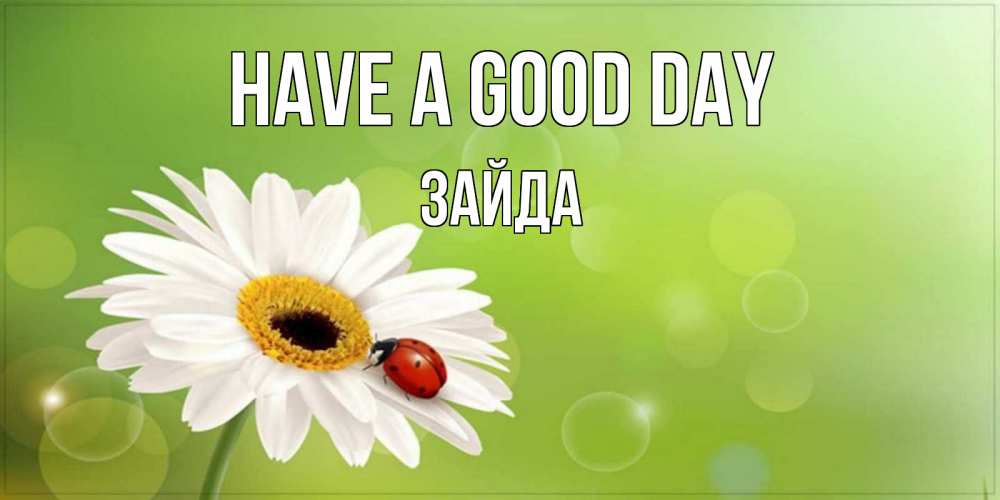 Greetings card с именем, ЗАЙДА Have a good day зеленый фон и ромашка Greetings with text for free download 