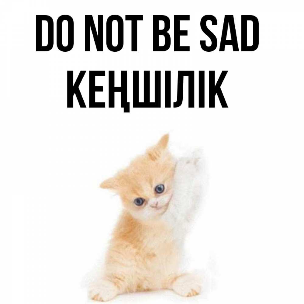 Greetings card с именем, Кеңшілік Do not be sad просящий кот Greetings with text for free download 