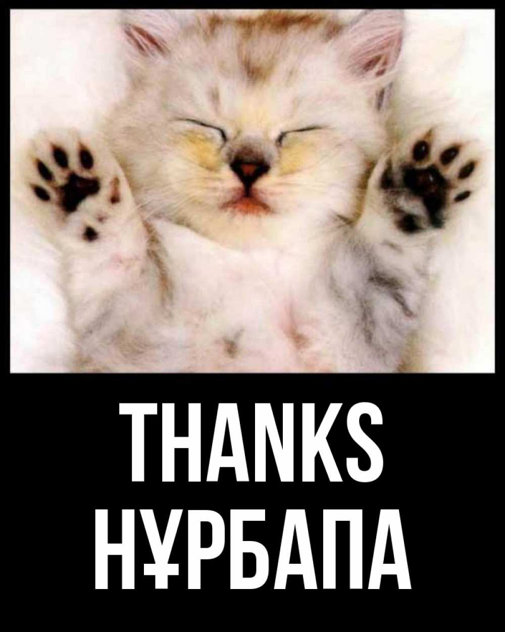 Greetings card с именем, НҰРБАПА Thanks маленький котенок Greetings with text for free download 