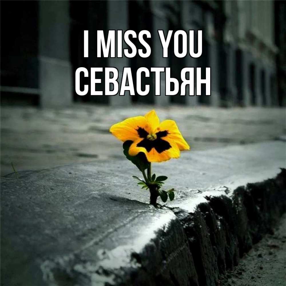 Greetings card с именем, Севастьян I miss you надеюсь будет лучше Greetings with text for free download 