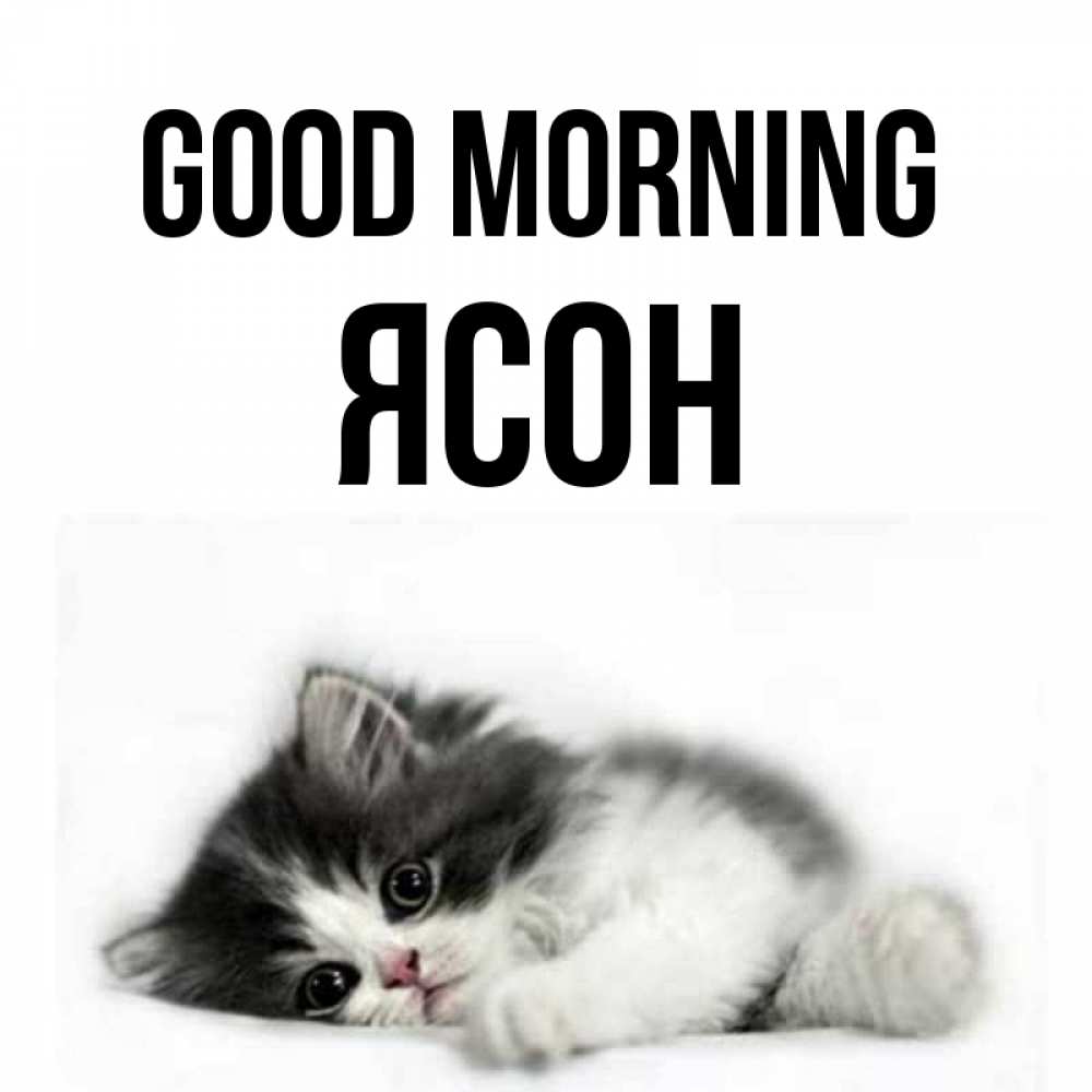 Greetings card с именем, Ясон Good morning кот лапки Greetings with text for free download 