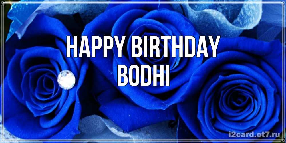 Greetings card с именем, Bodhi Happy Birthday синие розы в росе Greetings with text for free download 