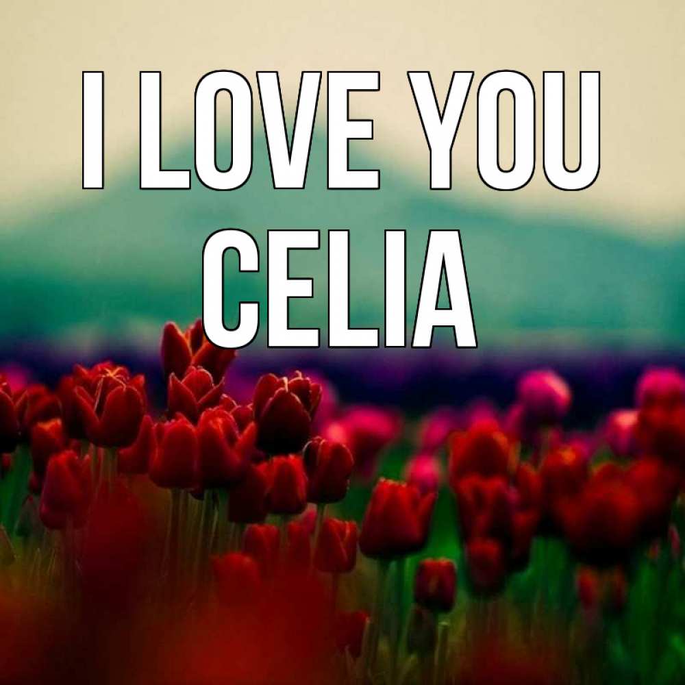 Greetings card с именем, Celia I love you тюльпаны 4 Greetings with text for free download 