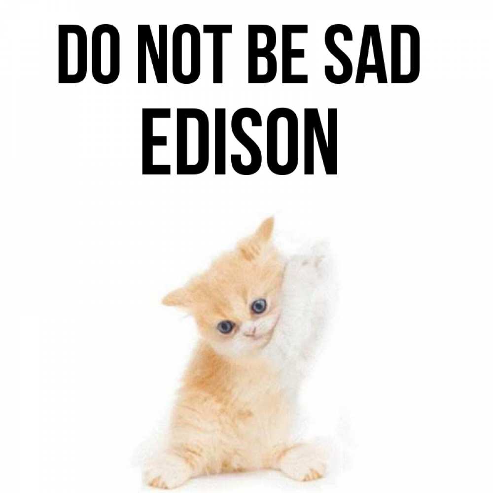 Greetings card с именем, Edison Do not be sad просящий кот Greetings with text for free download 