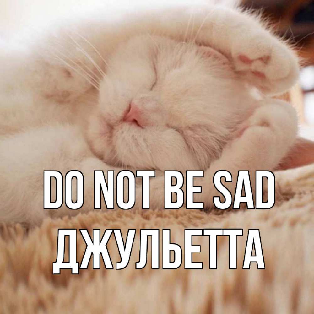 Greetings card с именем, Джульетта Do not be sad белый кот Greetings with text for free download 