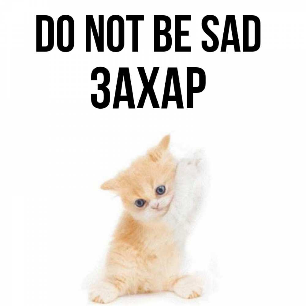 Greetings card с именем, Захар Do not be sad просящий кот Greetings with text for free download 